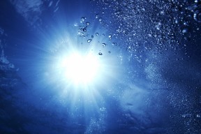 世界拳击超级夜：明星赛点提升关注度与票房，世界拳击明星排名